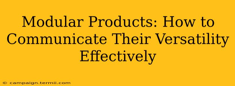 Modular Products: How to Communicate Their Versatility Effectively