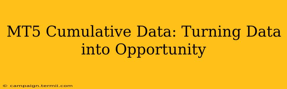 MT5 Cumulative Data: Turning Data into Opportunity