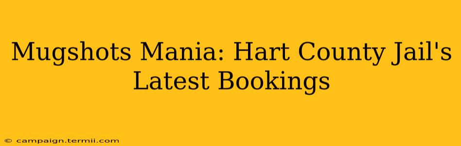 Mugshots Mania: Hart County Jail's Latest Bookings