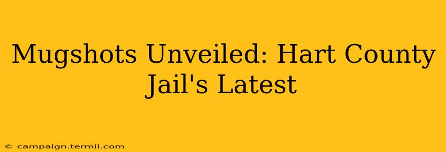 Mugshots Unveiled: Hart County Jail's Latest