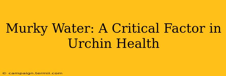 Murky Water: A Critical Factor in Urchin Health