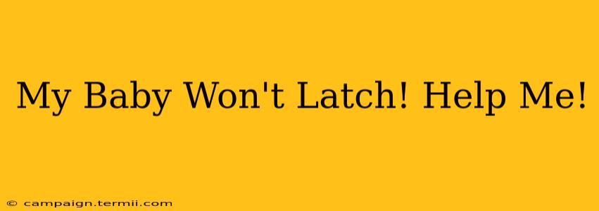 My Baby Won't Latch! Help Me!