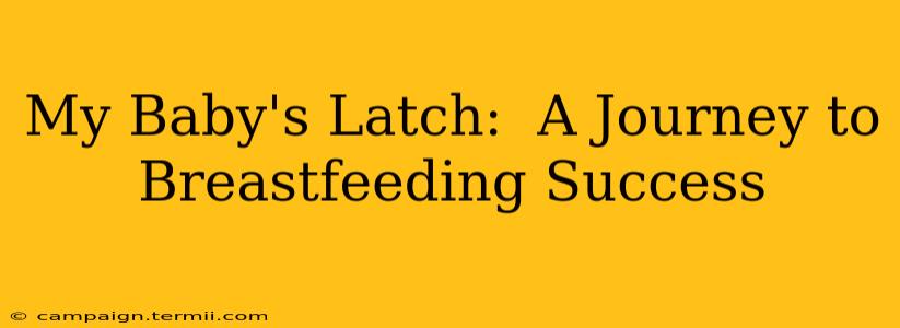 My Baby's Latch:  A Journey to Breastfeeding Success