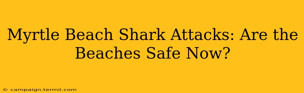 Myrtle Beach Shark Attacks: Are the Beaches Safe Now?