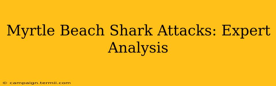 Myrtle Beach Shark Attacks: Expert Analysis