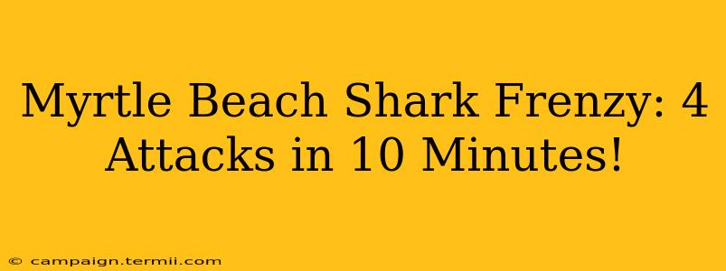 Myrtle Beach Shark Frenzy: 4 Attacks in 10 Minutes!