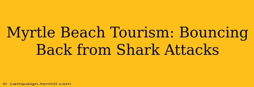 Myrtle Beach Tourism: Bouncing Back from Shark Attacks