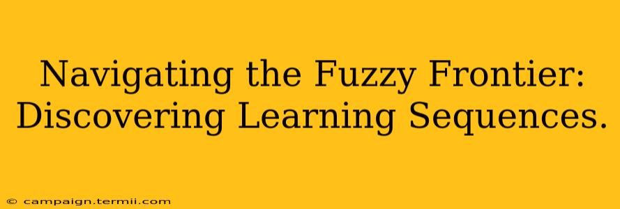 Navigating the Fuzzy Frontier: Discovering Learning Sequences.