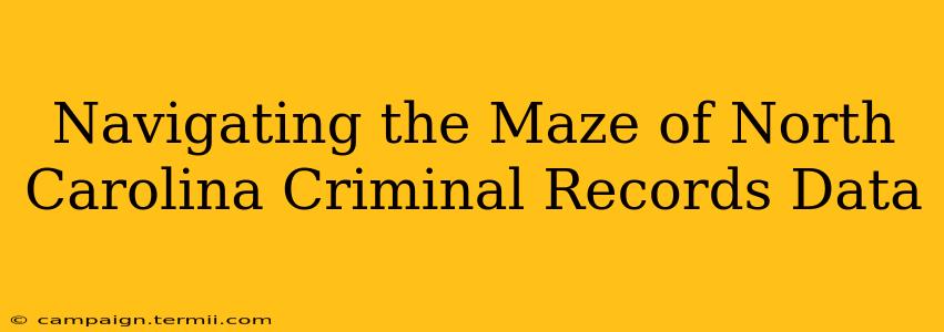 Navigating the Maze of North Carolina Criminal Records Data