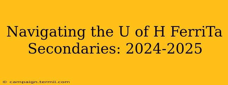 Navigating the U of H FerriTa Secondaries: 2024-2025