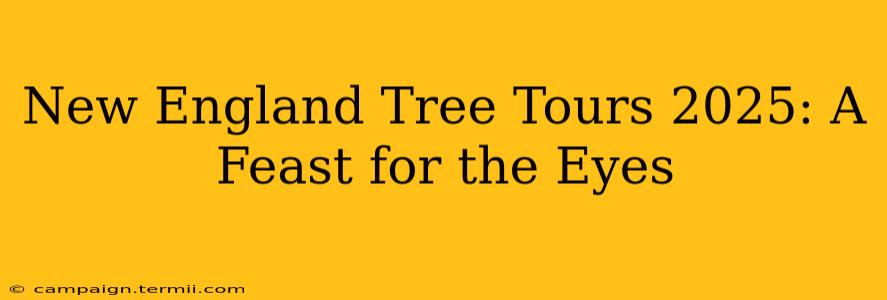 New England Tree Tours 2025: A Feast for the Eyes