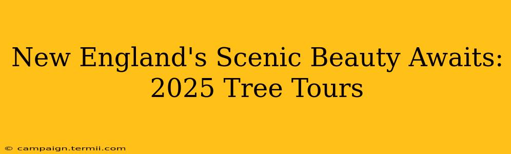 New England's Scenic Beauty Awaits: 2025 Tree Tours