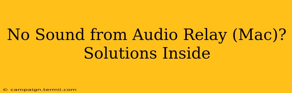 No Sound from Audio Relay (Mac)? Solutions Inside