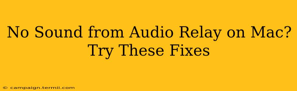 No Sound from Audio Relay on Mac? Try These Fixes