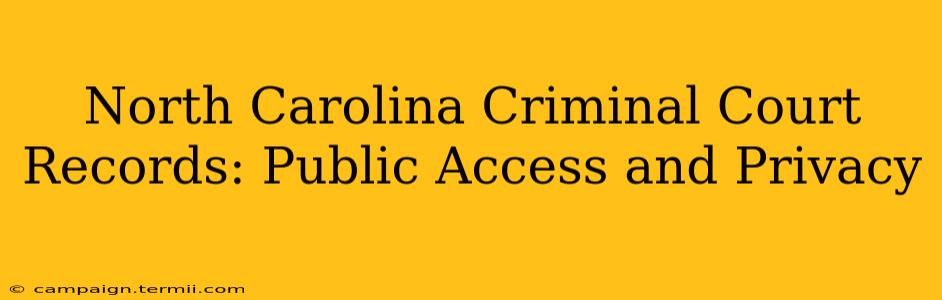 North Carolina Criminal Court Records: Public Access and Privacy