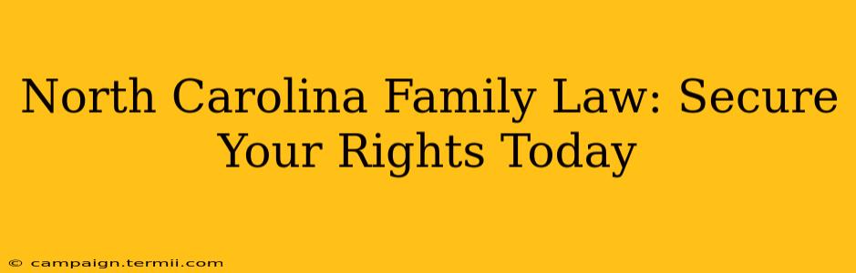 North Carolina Family Law: Secure Your Rights Today