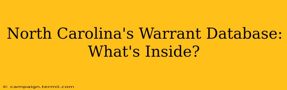 North Carolina's Warrant Database: What's Inside?