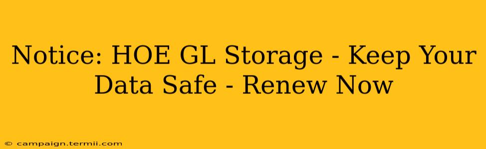 Notice: HOE GL Storage - Keep Your Data Safe - Renew Now