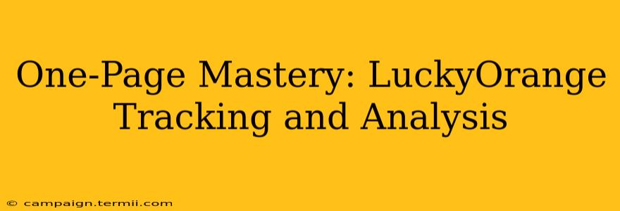 One-Page Mastery: LuckyOrange Tracking and Analysis