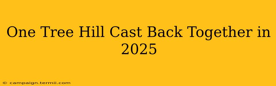 One Tree Hill Cast Back Together in 2025