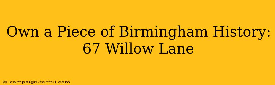 Own a Piece of Birmingham History: 67 Willow Lane