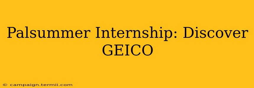 Palsummer Internship: Discover GEICO