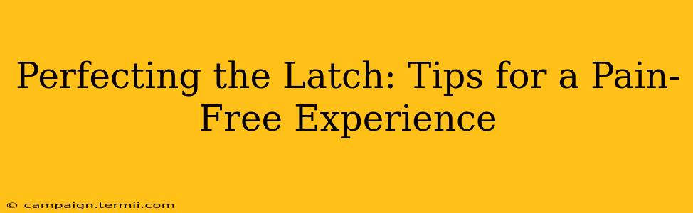 Perfecting the Latch: Tips for a Pain-Free Experience