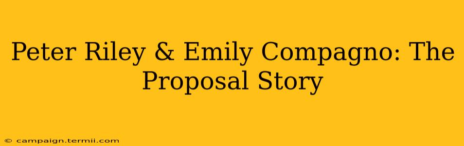 Peter Riley & Emily Compagno: The Proposal Story