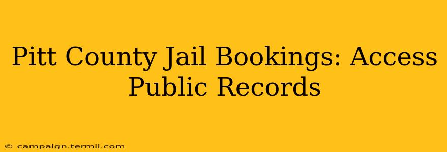 Pitt County Jail Bookings: Access Public Records