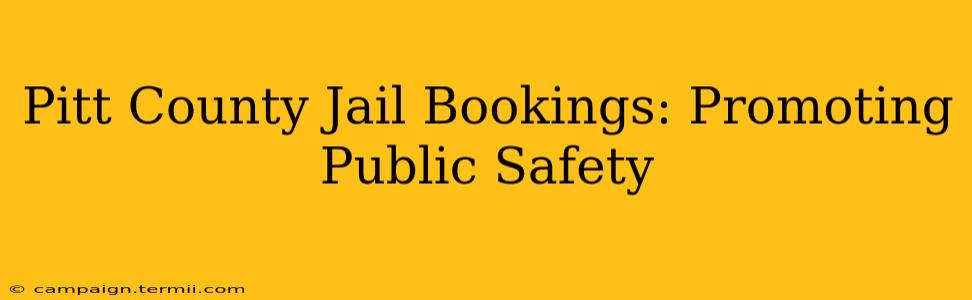 Pitt County Jail Bookings: Promoting Public Safety