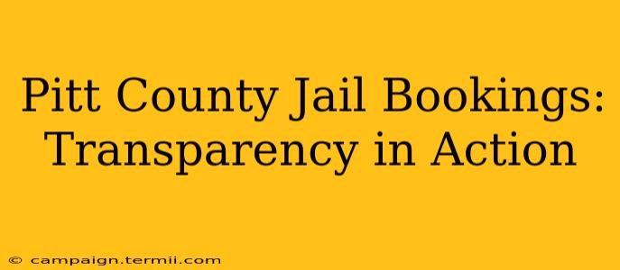 Pitt County Jail Bookings: Transparency in Action