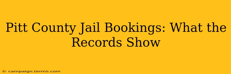 Pitt County Jail Bookings: What the Records Show