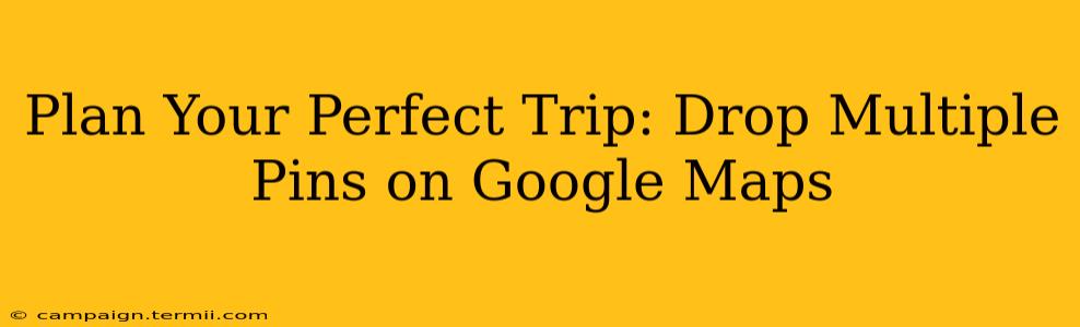 Plan Your Perfect Trip: Drop Multiple Pins on Google Maps