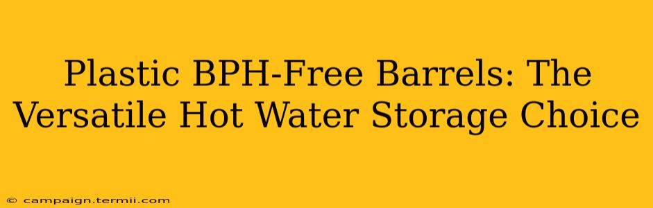 Plastic BPH-Free Barrels: The Versatile Hot Water Storage Choice