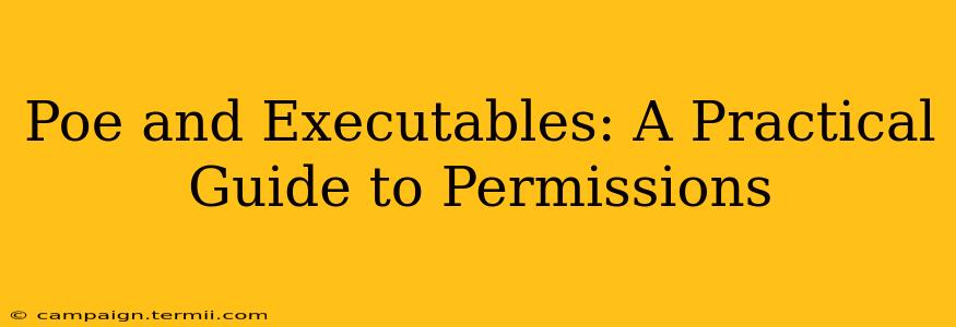 Poe and Executables: A Practical Guide to Permissions