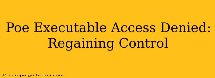 Poe Executable Access Denied: Regaining Control