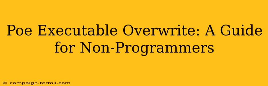 Poe Executable Overwrite: A Guide for Non-Programmers