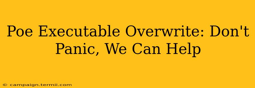 Poe Executable Overwrite: Don't Panic, We Can Help