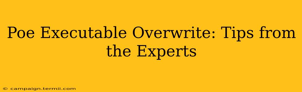 Poe Executable Overwrite: Tips from the Experts