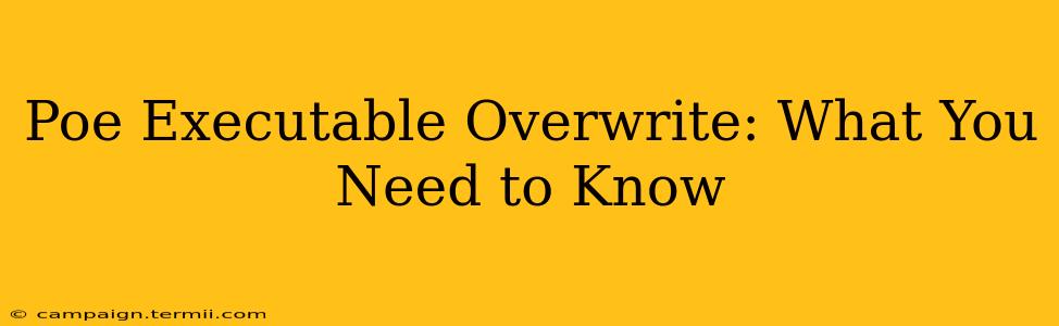 Poe Executable Overwrite: What You Need to Know