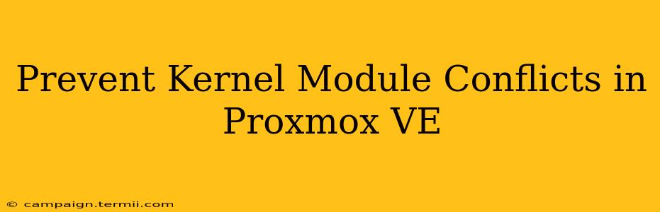 Prevent Kernel Module Conflicts in Proxmox VE