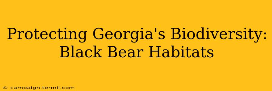 Protecting Georgia's Biodiversity: Black Bear Habitats