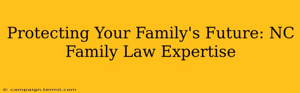 Protecting Your Family's Future: NC Family Law Expertise