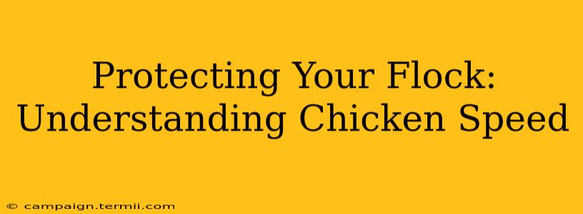 Protecting Your Flock: Understanding Chicken Speed