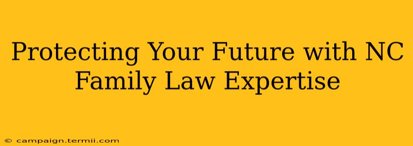 Protecting Your Future with NC Family Law Expertise