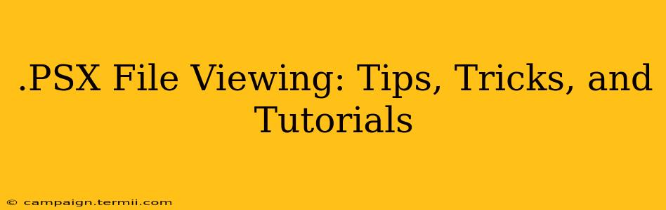 .PSX File Viewing: Tips, Tricks, and Tutorials