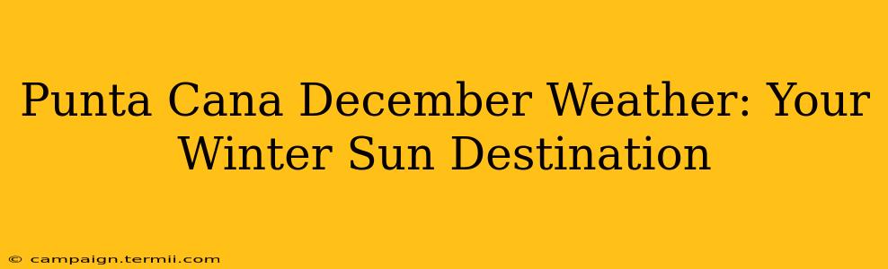 Punta Cana December Weather: Your Winter Sun Destination