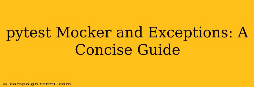 pytest Mocker and Exceptions: A Concise Guide