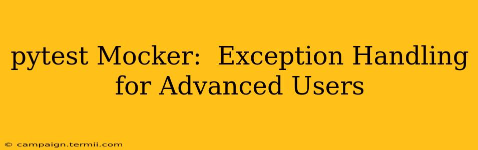 pytest Mocker:  Exception Handling for Advanced Users