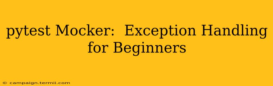 pytest Mocker:  Exception Handling for Beginners